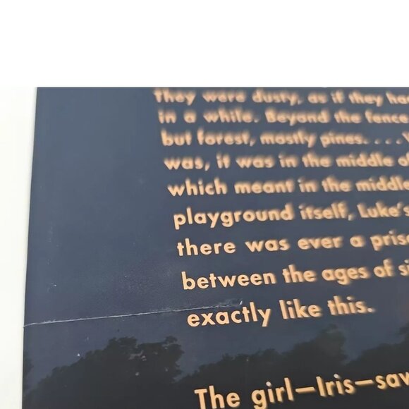 The Institute by Stephen King (Hardcover, 2019) - Picture 4 of 5